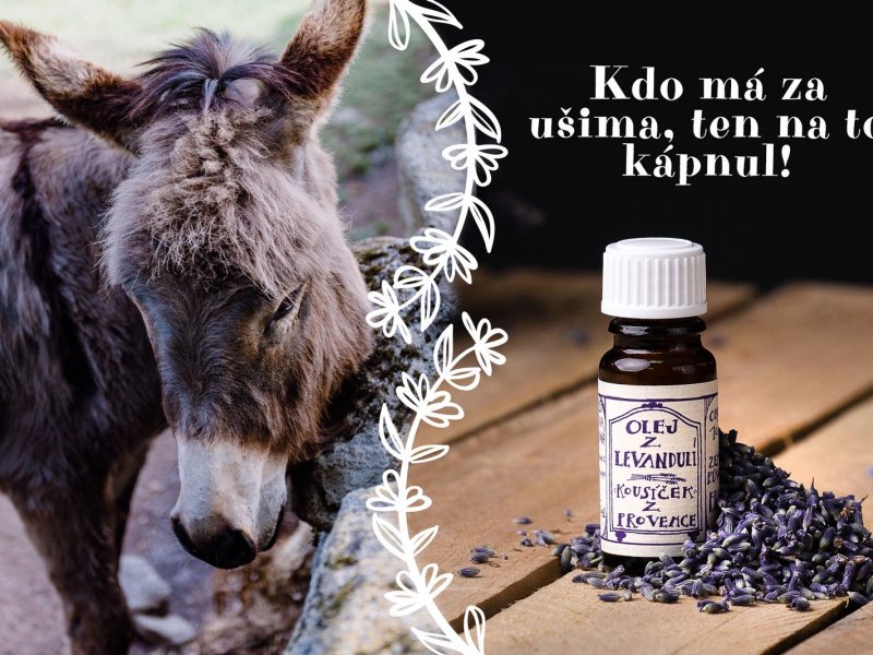 Spolu na to kápneme! 